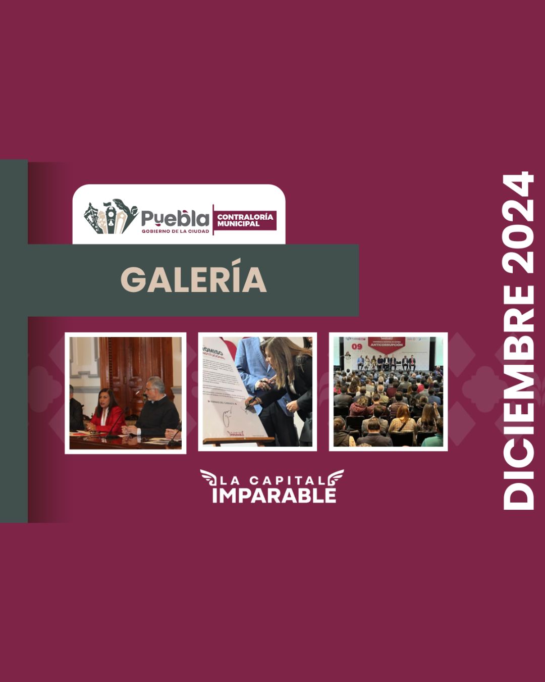 Galería Diciembre 2024
